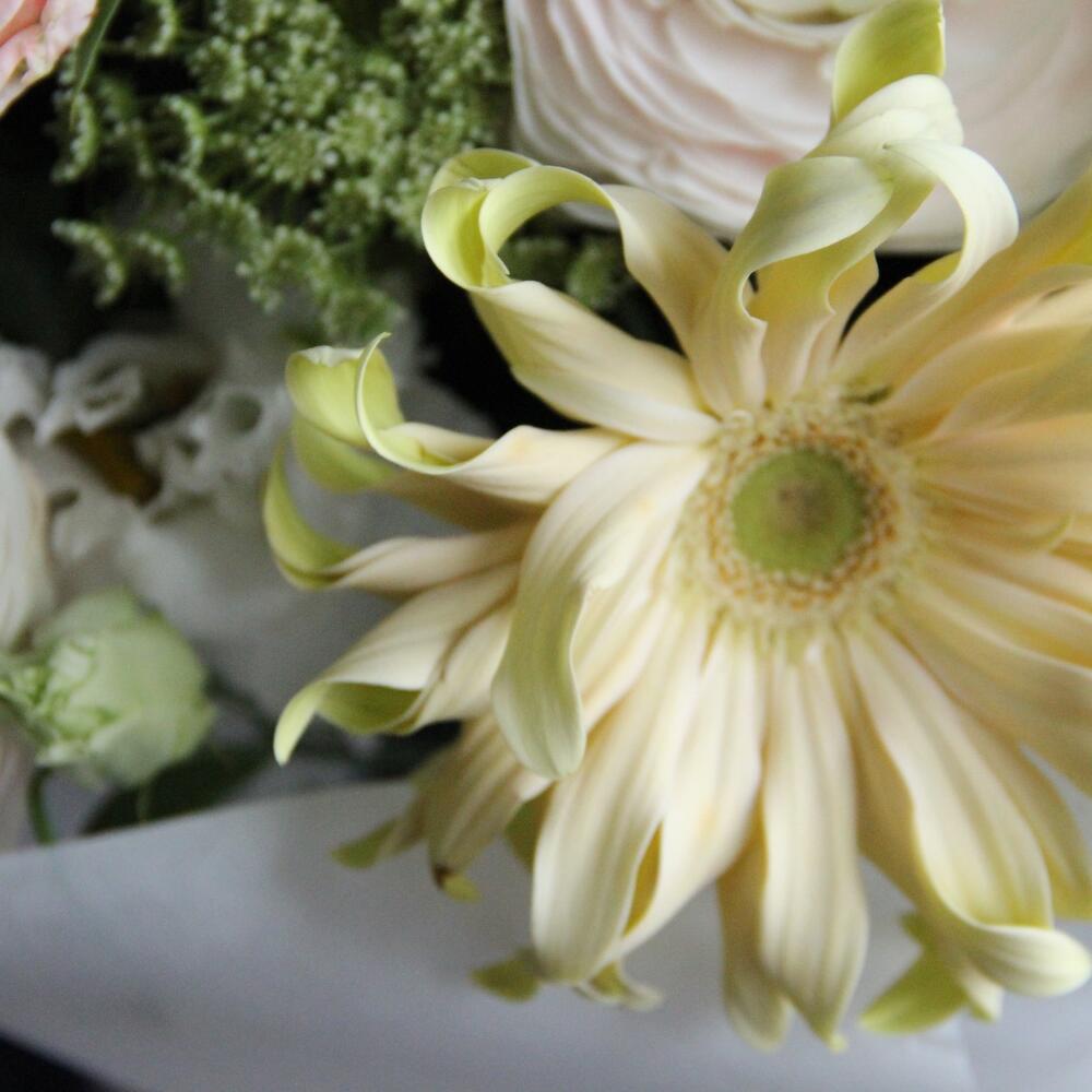 Compliment - Ранункулюсы, розы, герберы