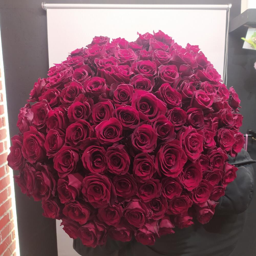 101 роза, букет Элитный