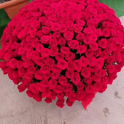 Wow - эффект 351 роза