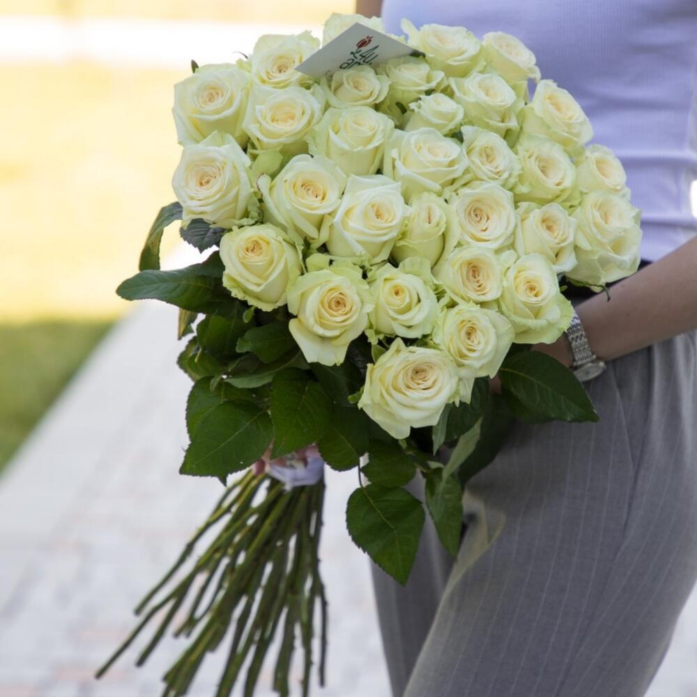Розы «Dolomiti» белый 29 шт