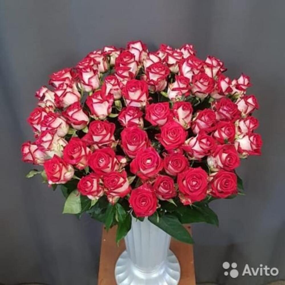 51 роза люксор