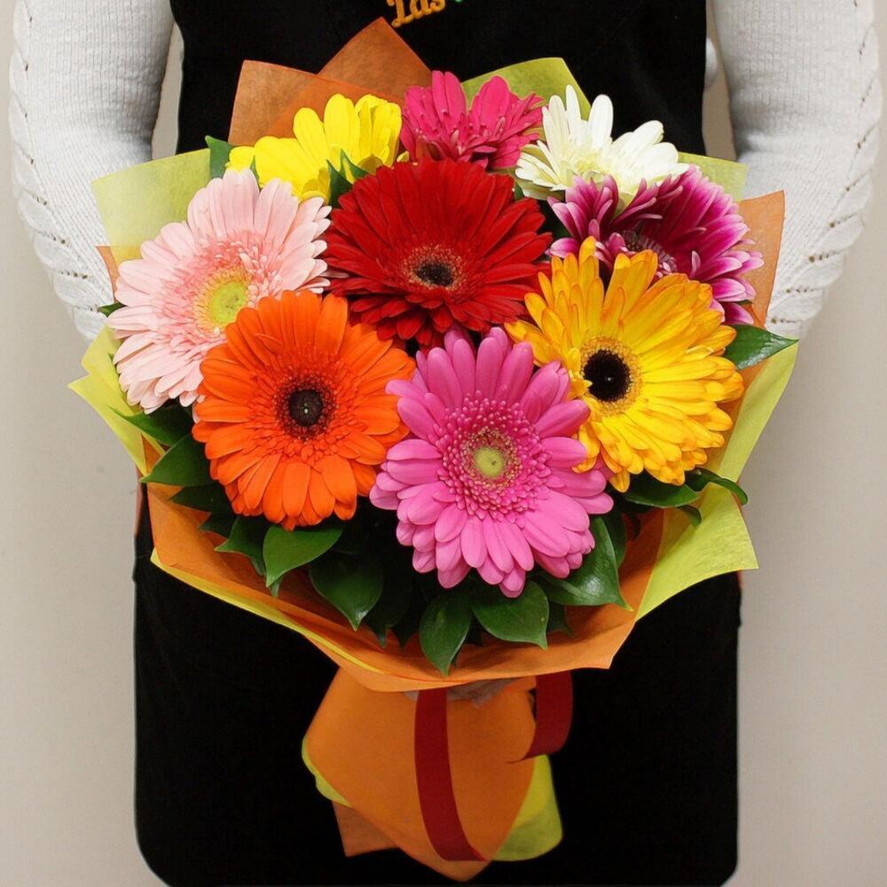 Букет из 9 гербер