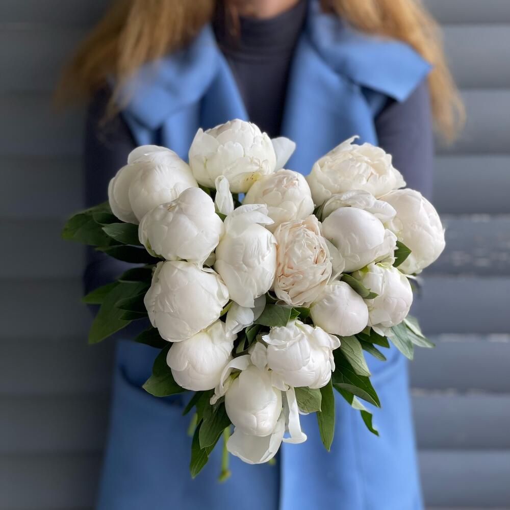 Букет из 15 белых голландских пионов
