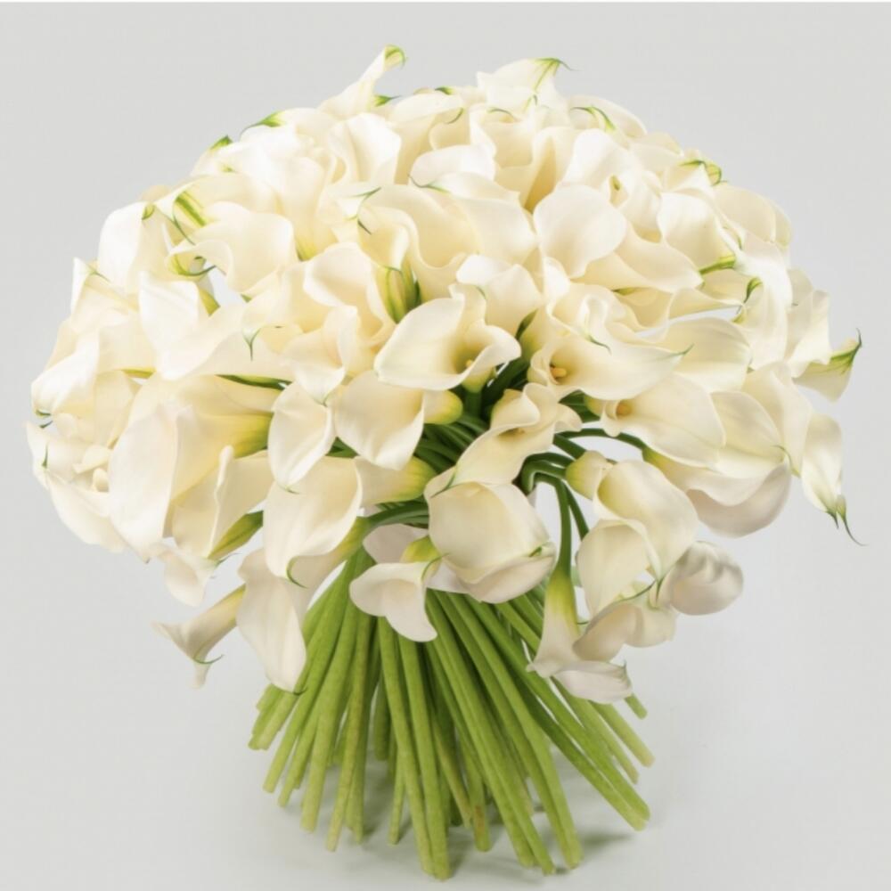 Каллы белые